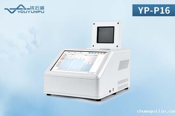YP-P16.jpg